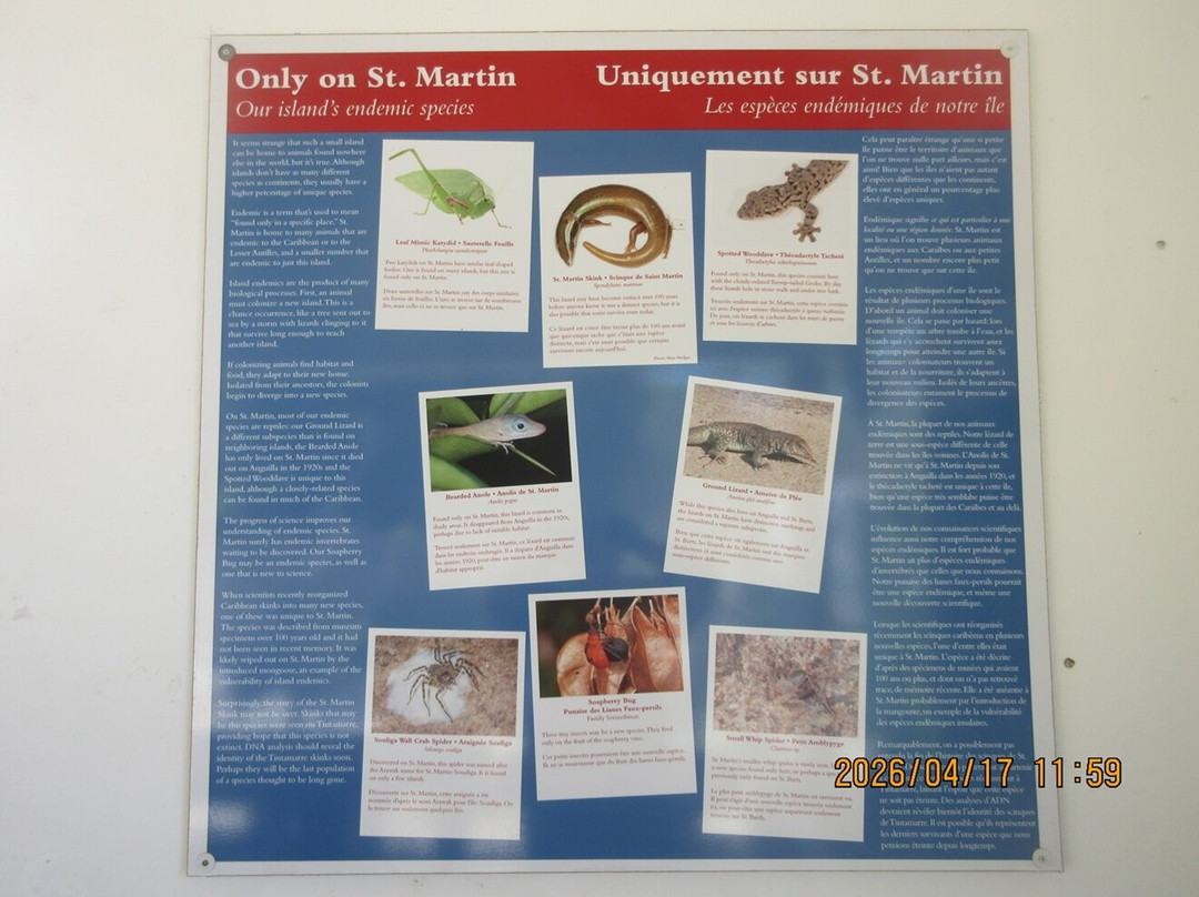 Amuseum Naturalis-Quartier D'Orleans必去景点