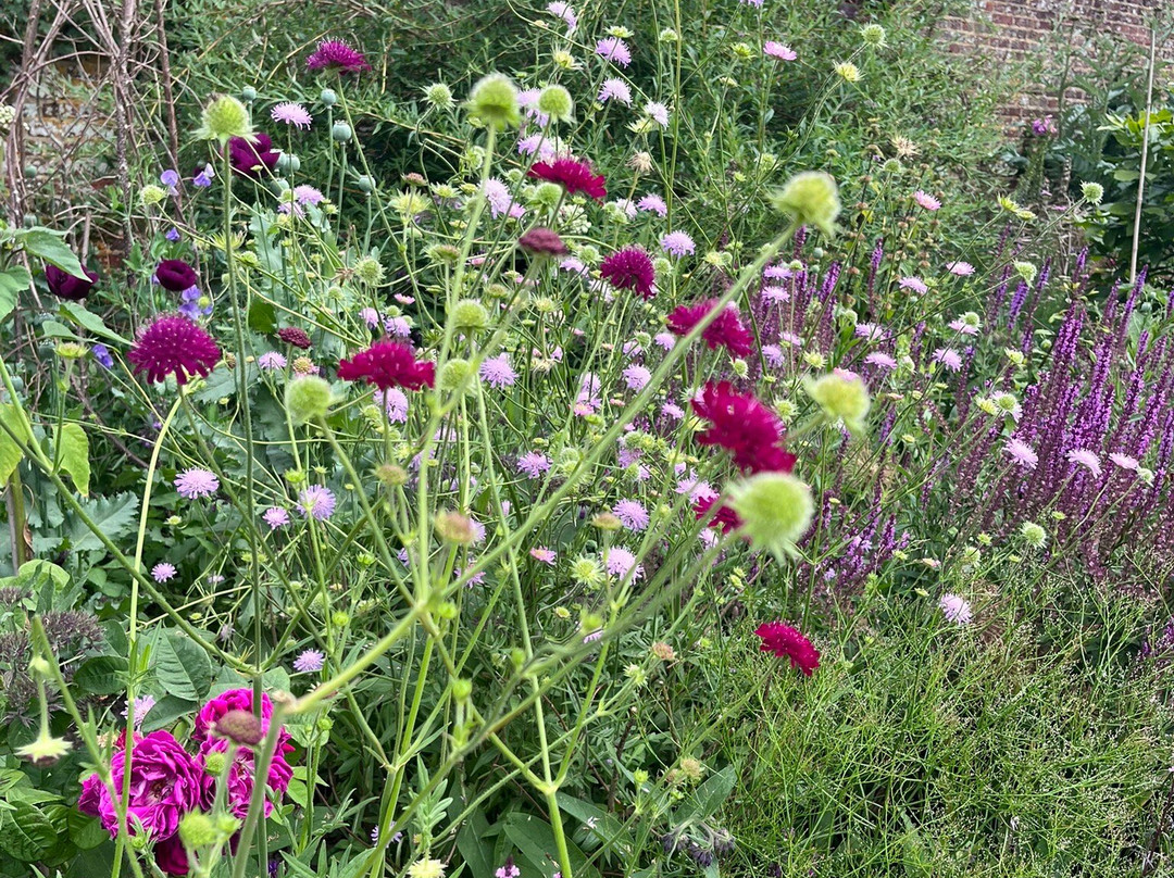 Sissinghurst Castle Garden-Sissinghurst必去景点