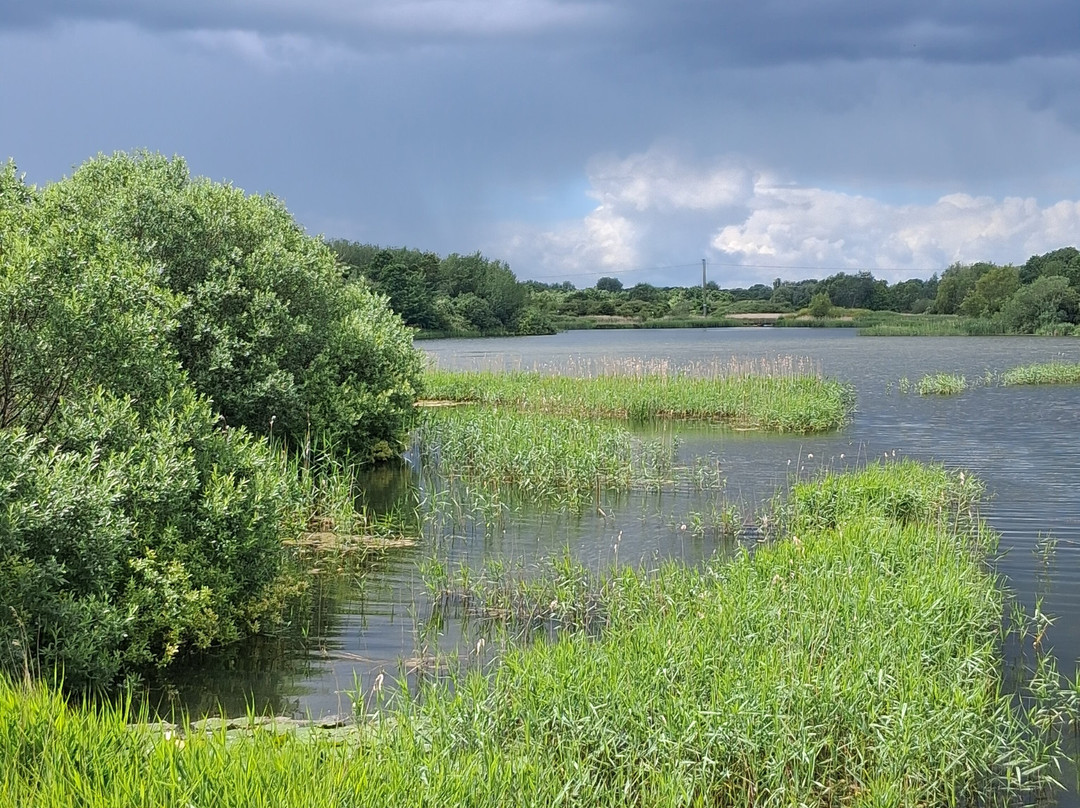 Cleethorpes Country Park-克利索普斯必去景点