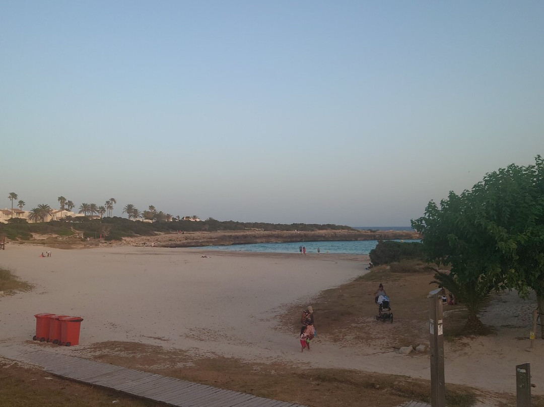Globales Cala'n Bosch主图