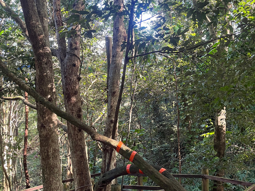 蒙特维尔瀑布山林小屋主图