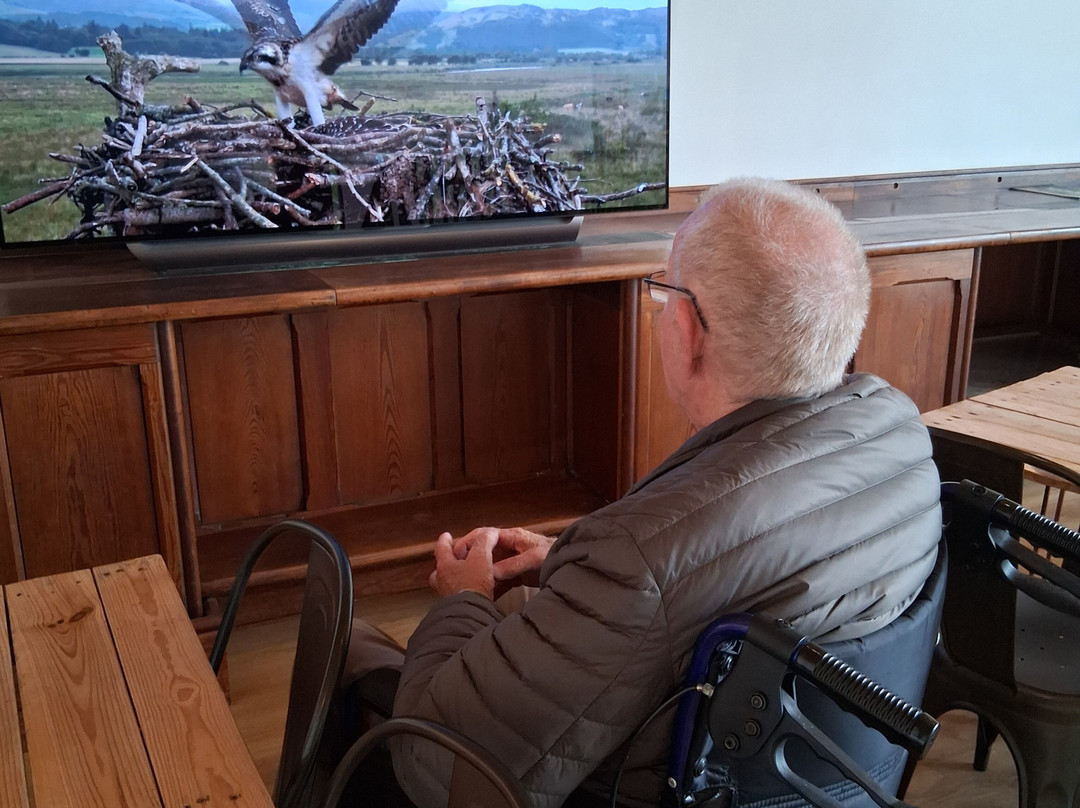 Dyfi Osprey Project-Derwenlas必去景点