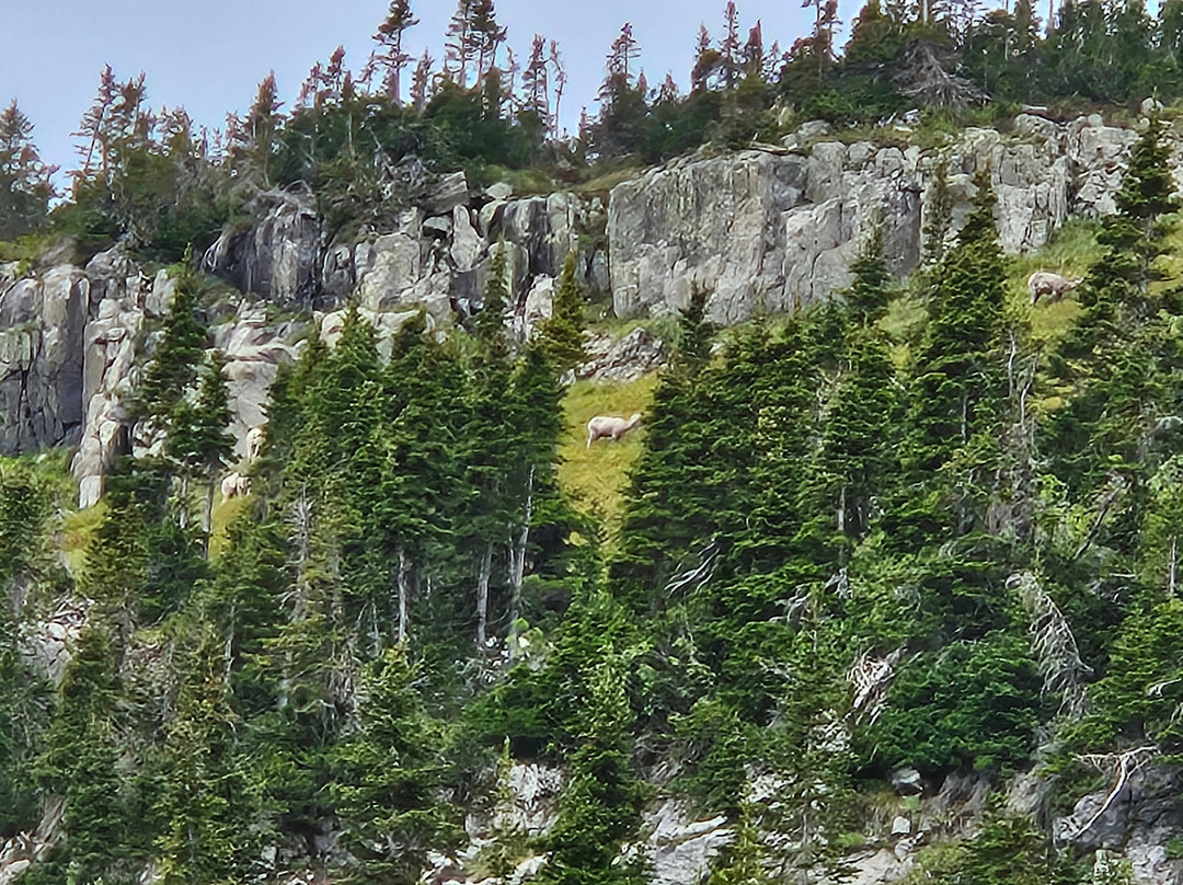 Glacier National Park Sun Tours-东冰川公园必去景点