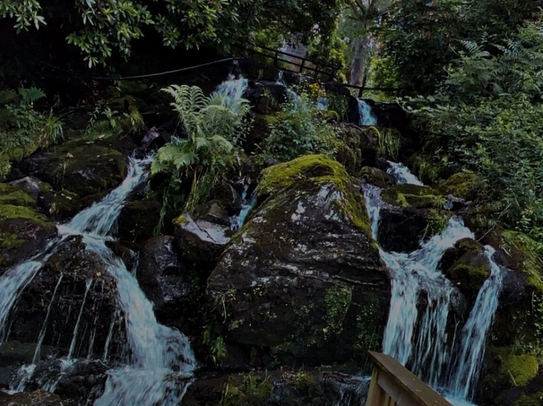 麦当劳森林山酒店主图
