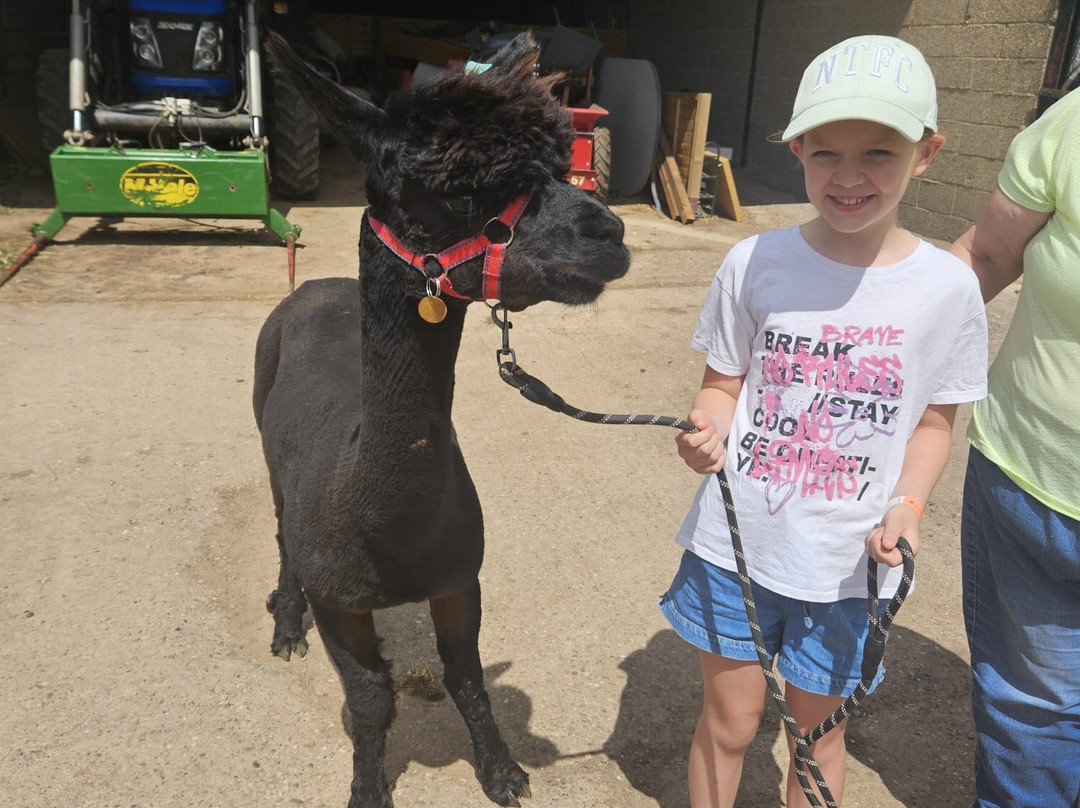 Charnwood Forest Alpacas-Boundary必去景点