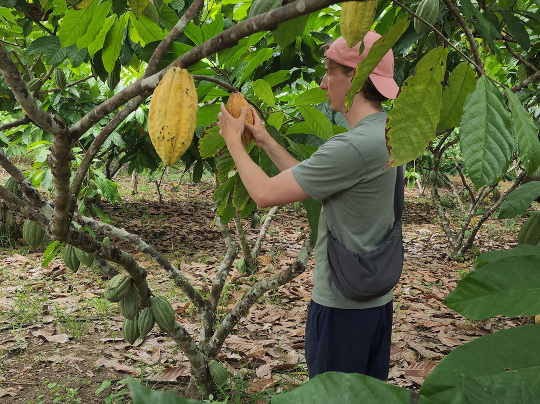 Libélula Finca Agroecológica-Manglaralto必去景点