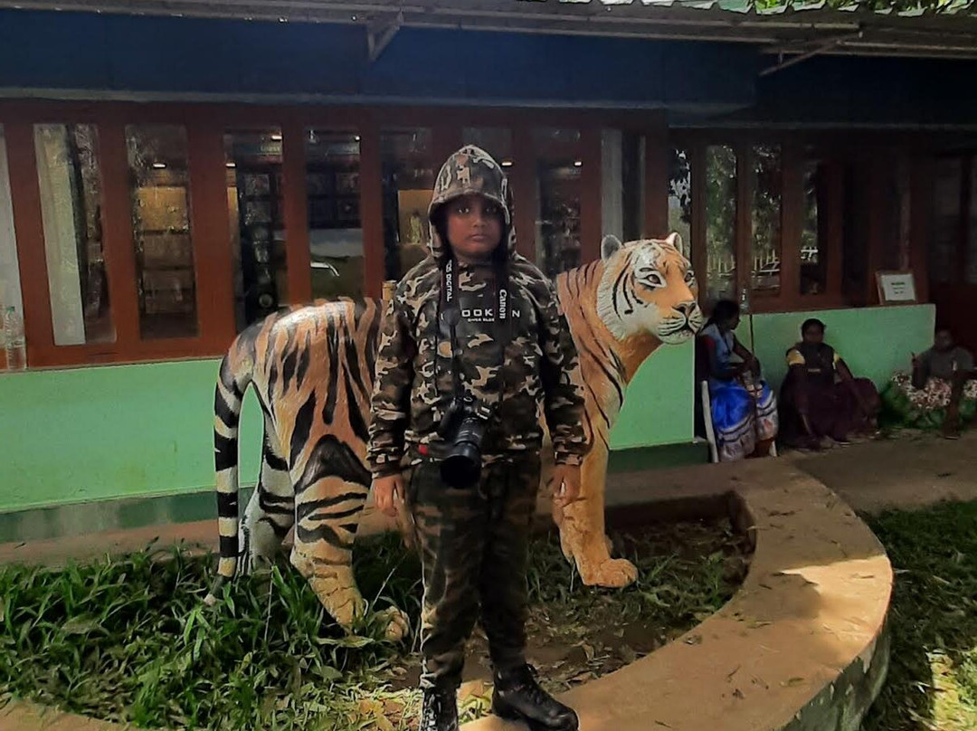 Topslip Tiger Forest-Pollachi Town必去景点