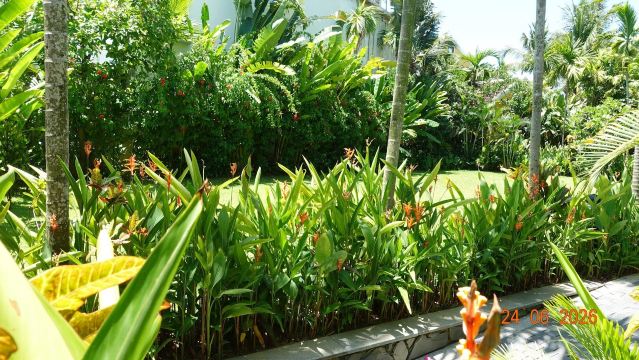 会安拉西埃斯特Spa度假村-泳池