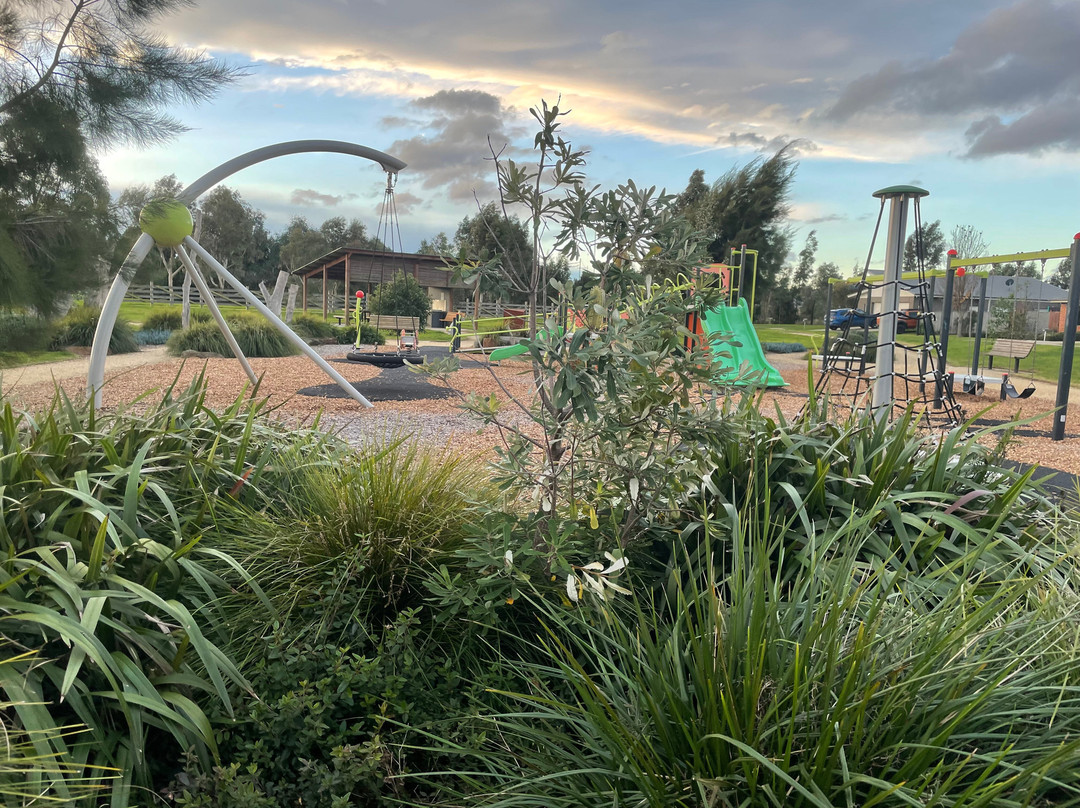 Drayton Park Playground-塞尔必去景点