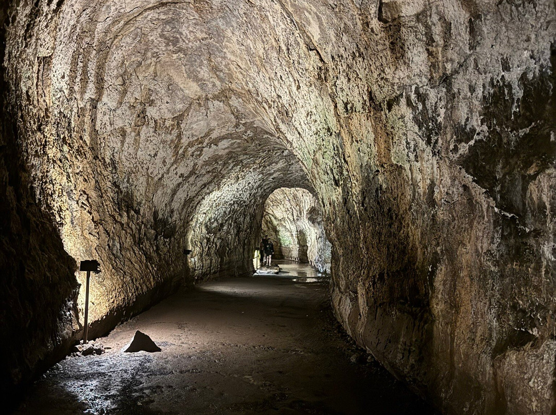 Lava Tunnel-圣克鲁斯必去景点