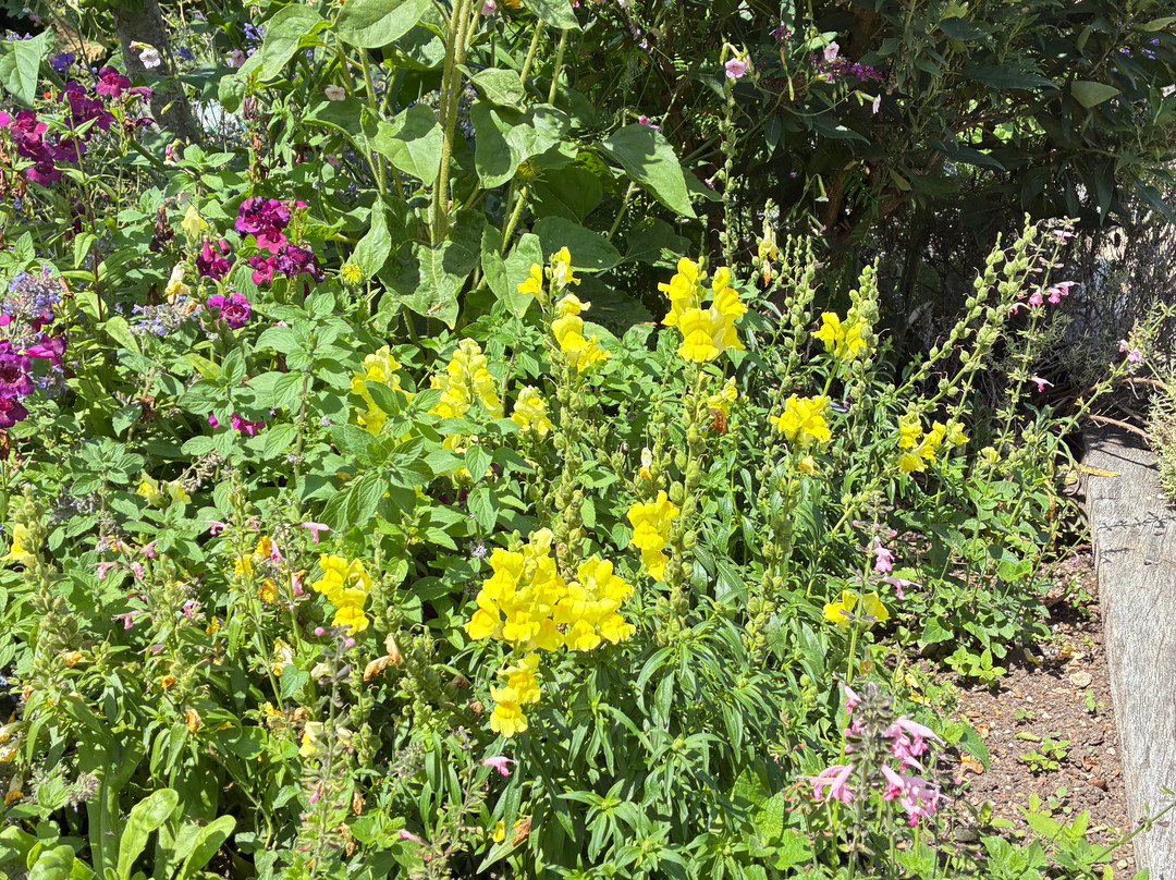 RHS Garden Hyde Hall-切姆斯福德必去景点