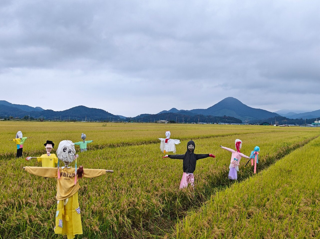 Suncheon Bay Wetland Reserve-顺天市必去景点