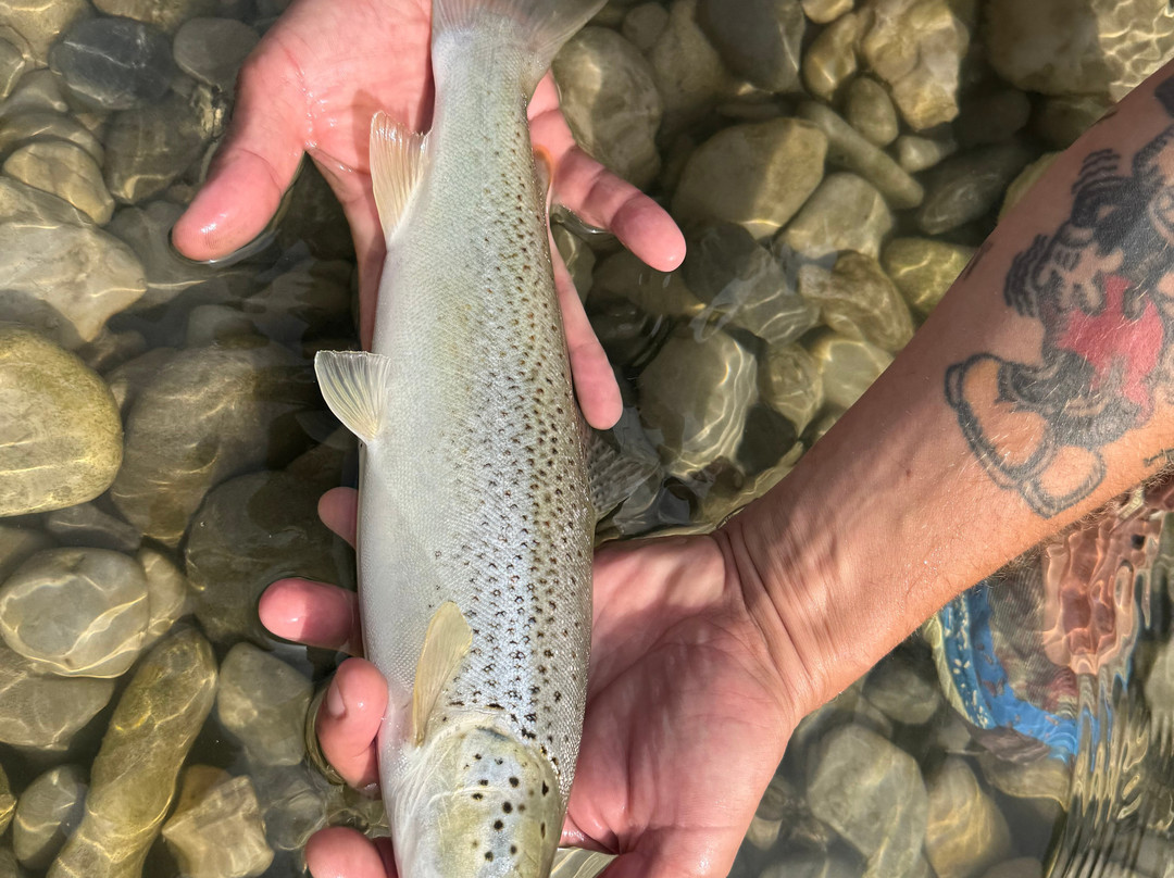 Riviera fly-fishing-Roquefort les Pins必去景点