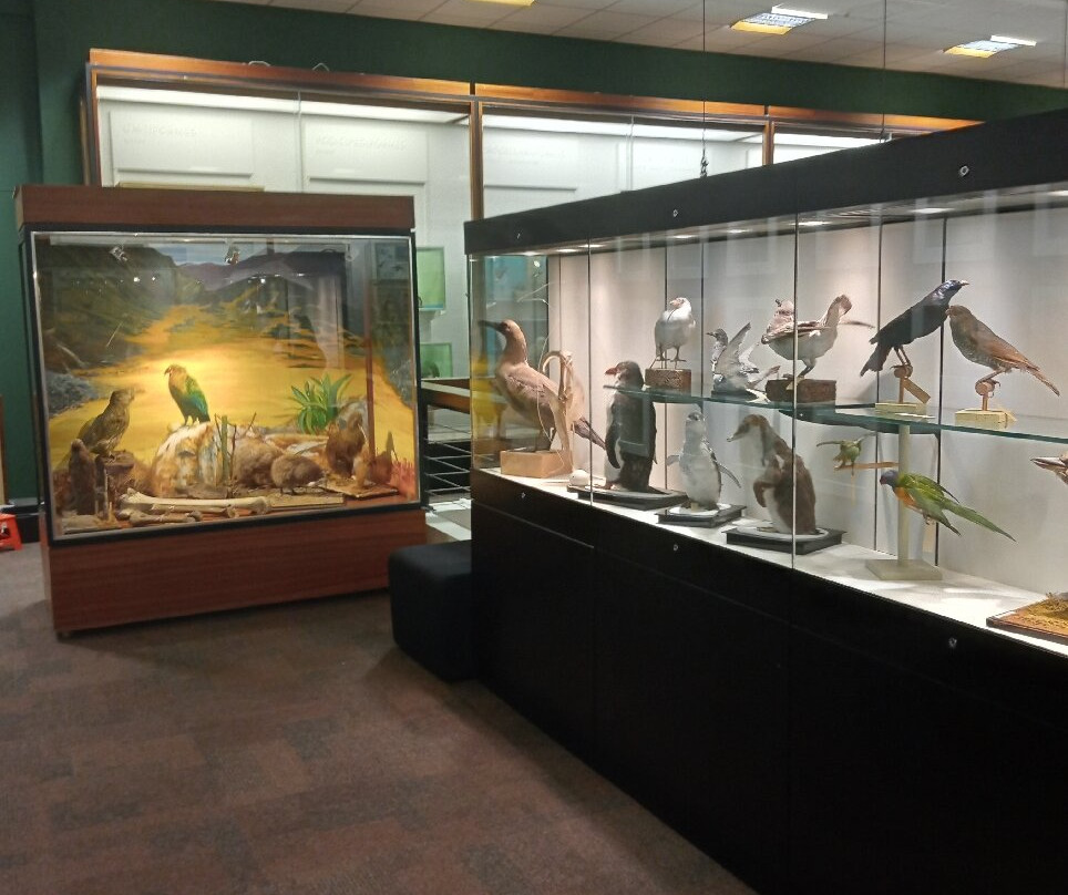 University of Aberdeen Zoology Museum-阿伯丁必去景点