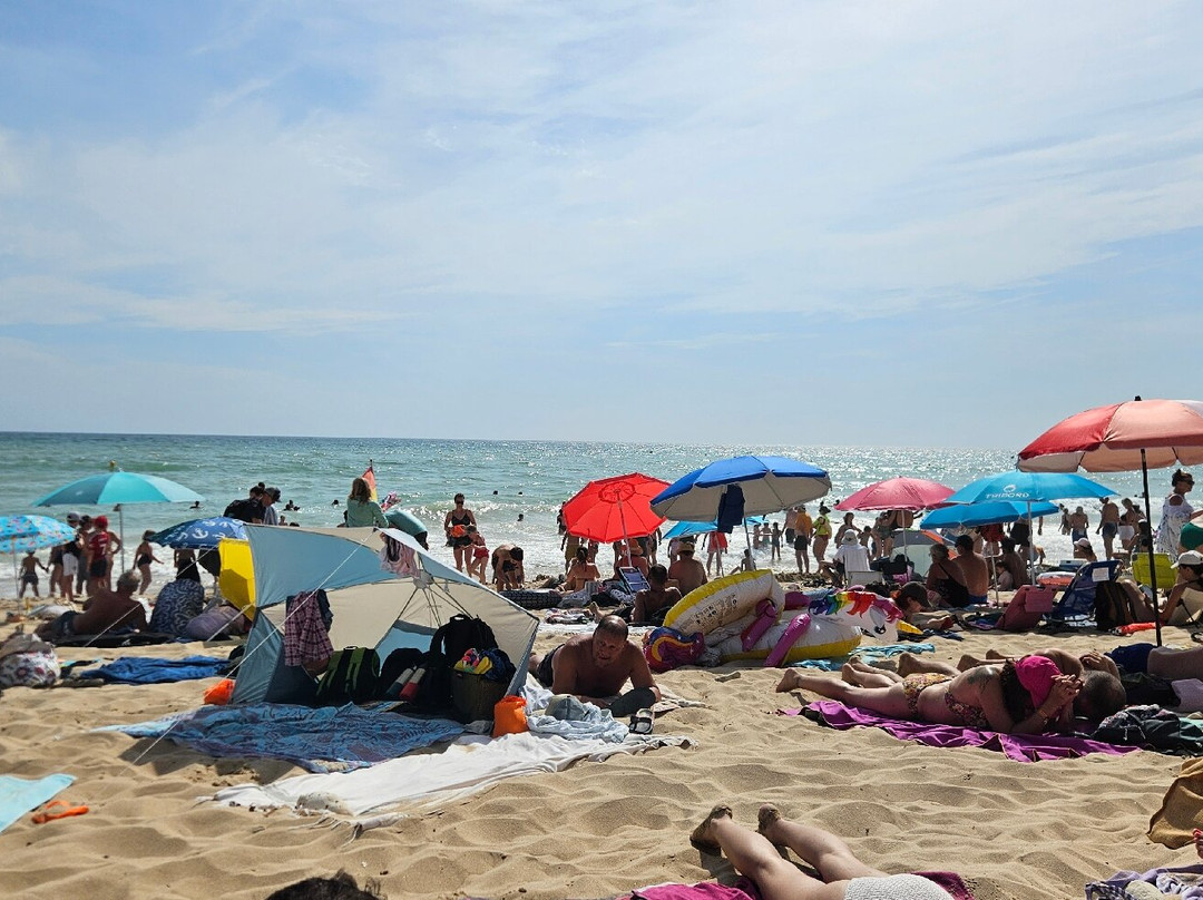 Plage Gros Jonc-雷岛必去景点