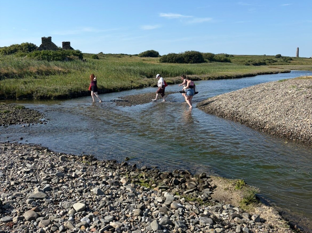 Scattery Island-Kilrush必去景点