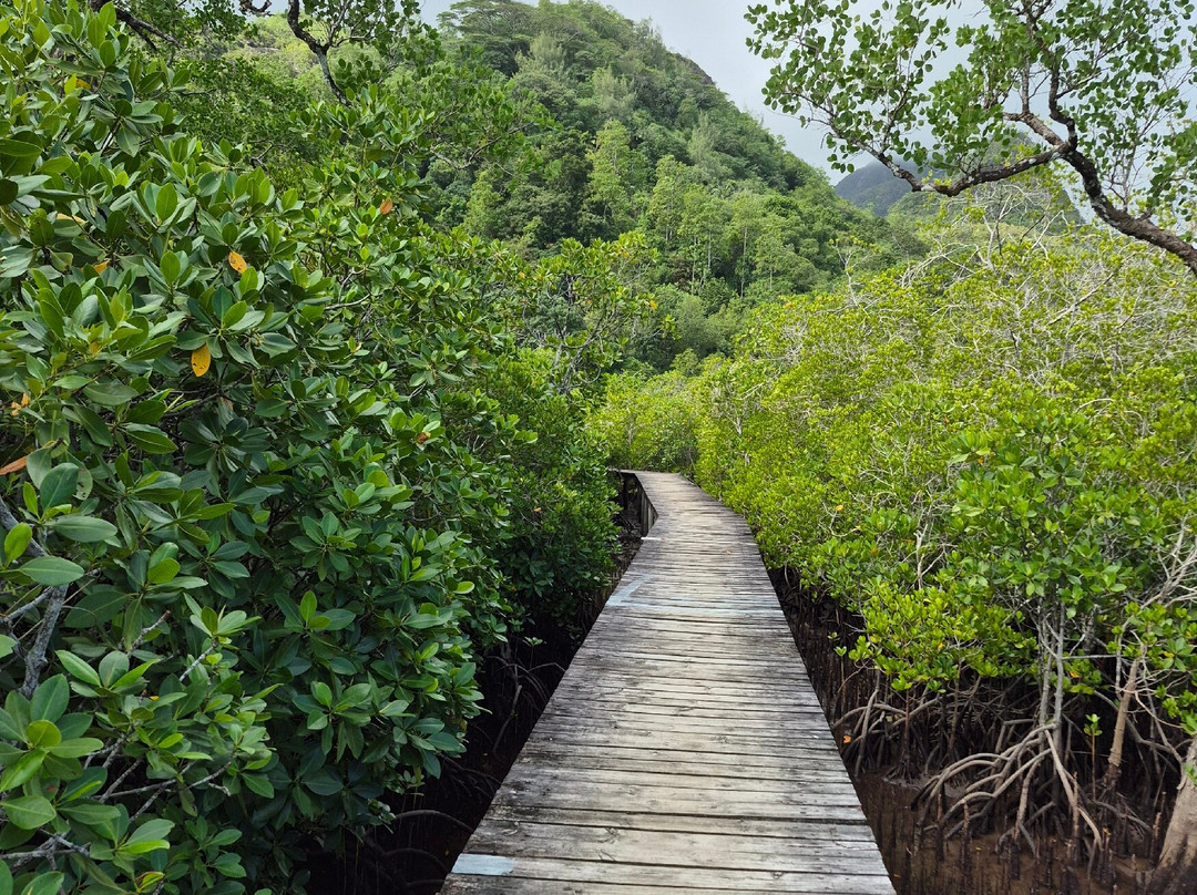 Copolia Trail-维多利亚必去景点