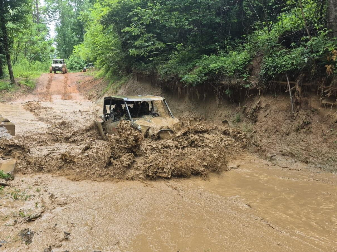 High Country UTV Tours-Roan Mountain必去景点