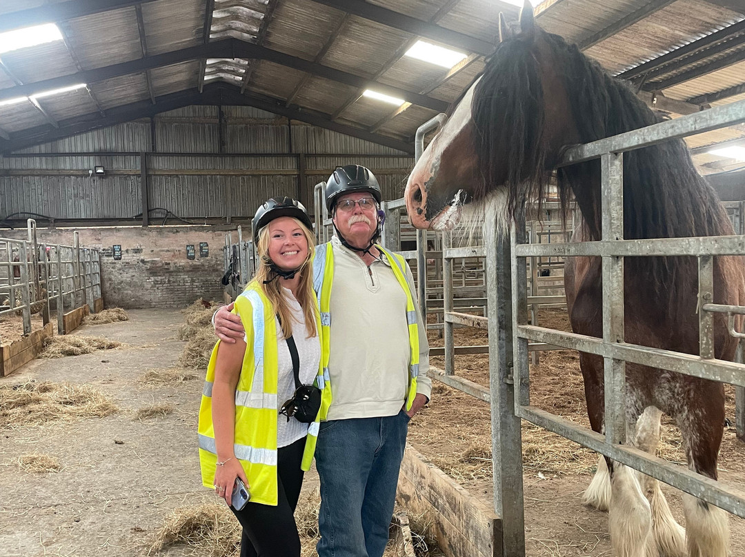 Blackstone Clydesdales Experience-Cumnock必去景点