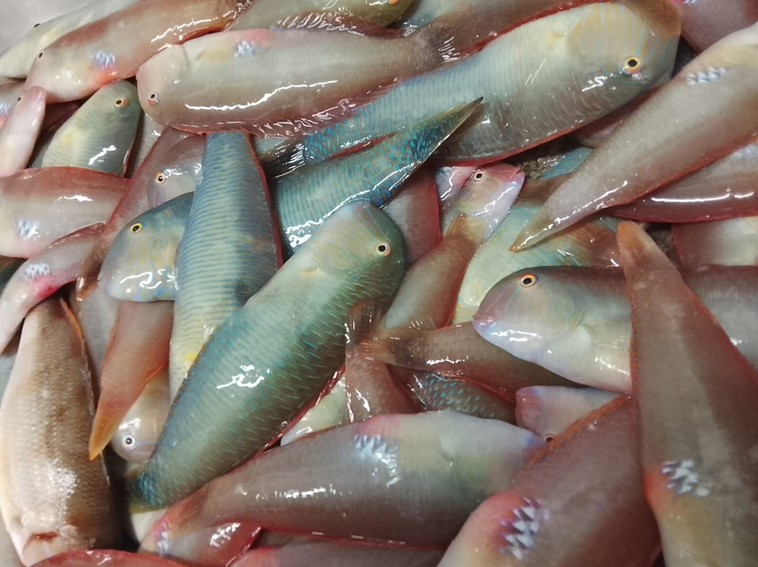 Mare Vivo Bistrot Di Mare