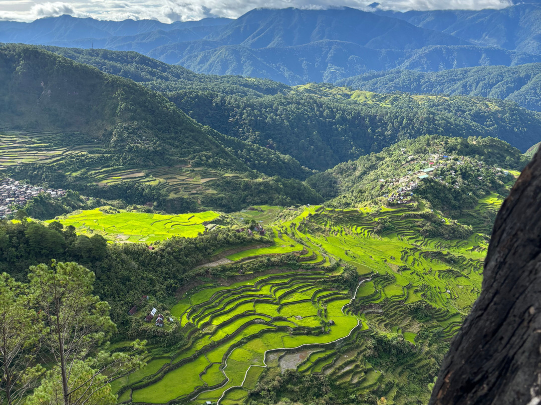 Maligcong Rice Terraces-Bontoc必去景点