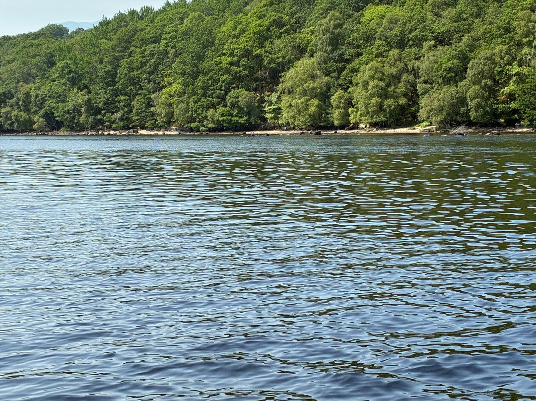 Loch Tay Safaris-Killin必去景点