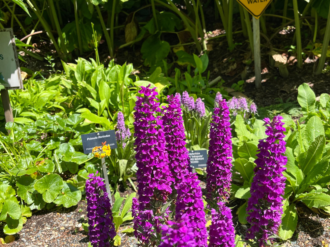 Memorial University Botanical Garden-圣约翰必去景点