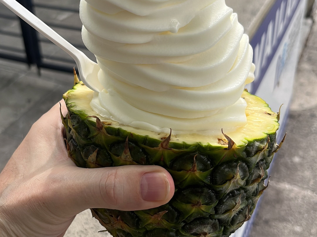 Pineapple Fountain-查尔斯顿必去景点