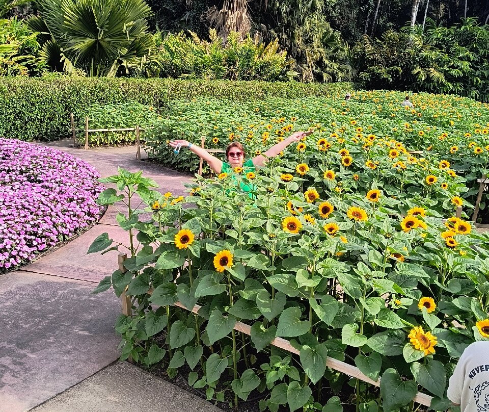 Hemero - Jardins Como Arte-Joinville必去景点