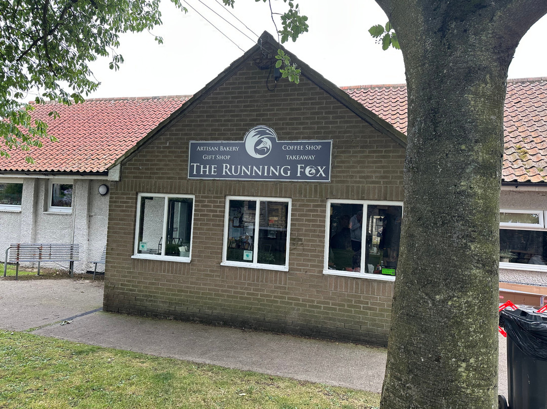 The Running Fox - Longhoughton
