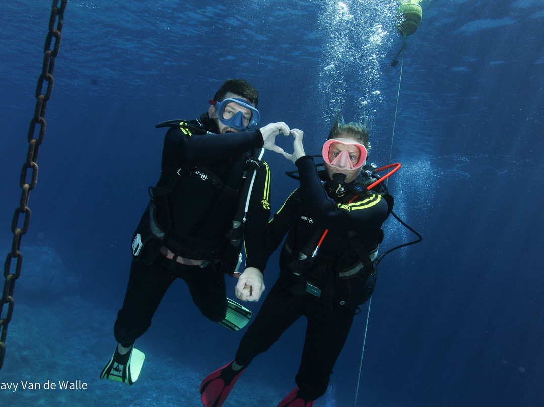 Kalypso Dive Center & School-雷斯蒙必去景点