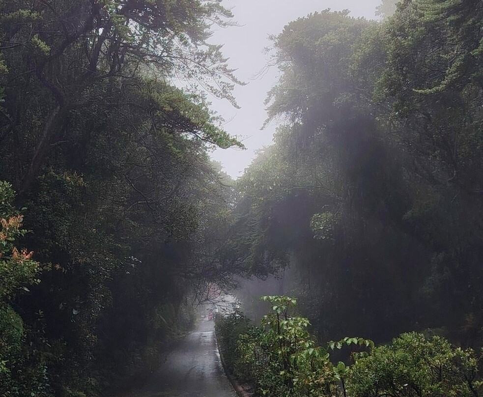 Poas Volcano-Poas Volcano National Park必去景点