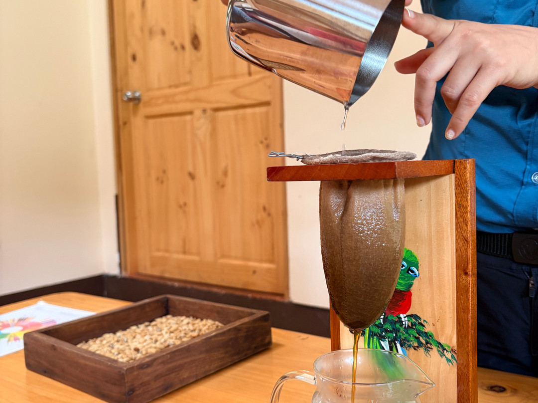 Café Monteverde Coffee Tour-圣埃伦娜必去景点