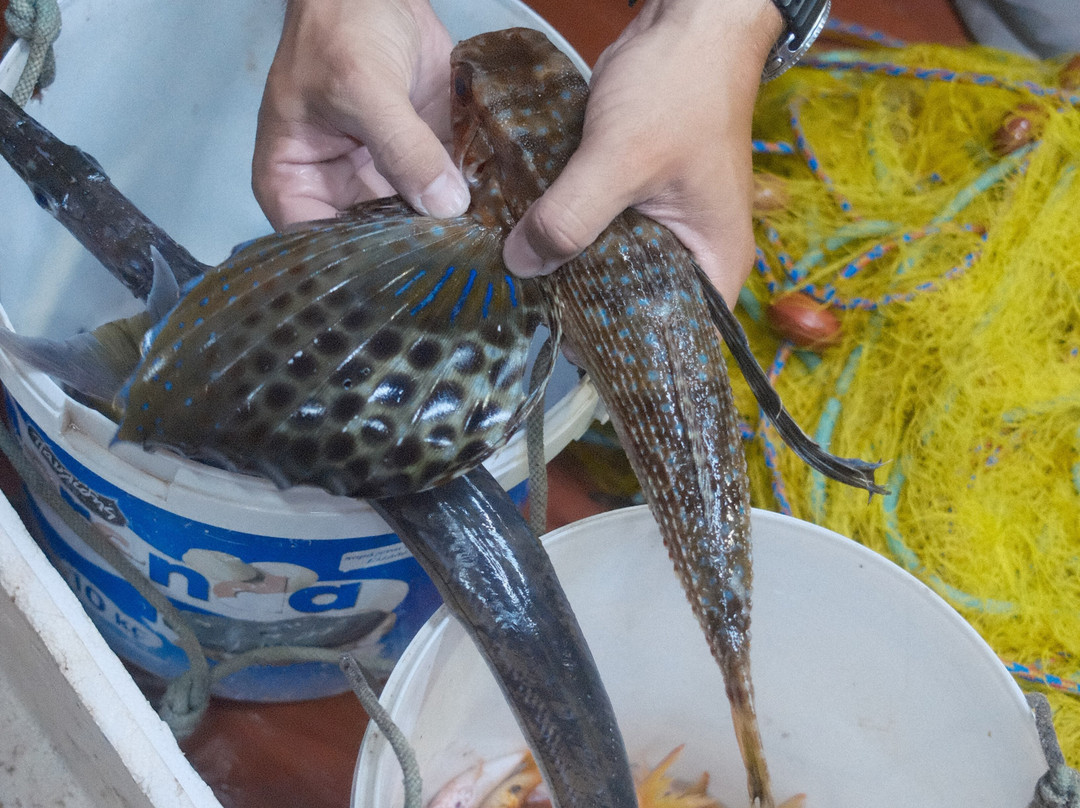 Agapi Traditional Fishing Trips-Limenas Chersonisou必去景点