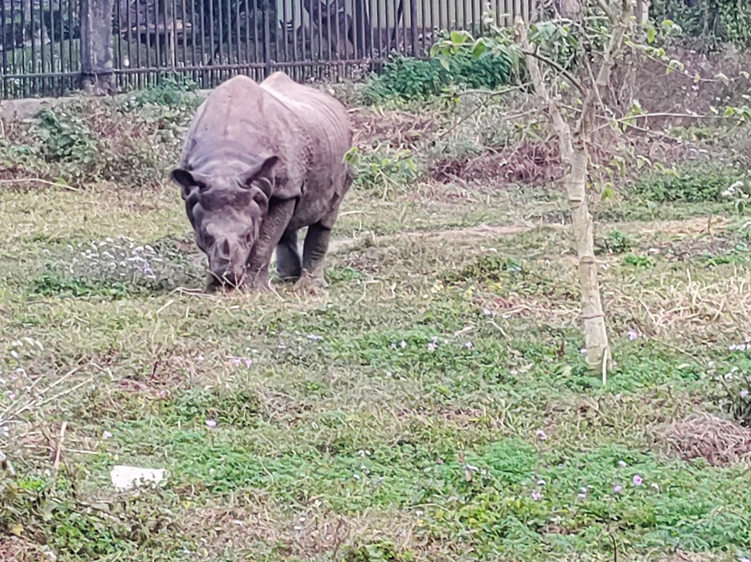 Chitwan Tharu Village-苏拉哈必去景点