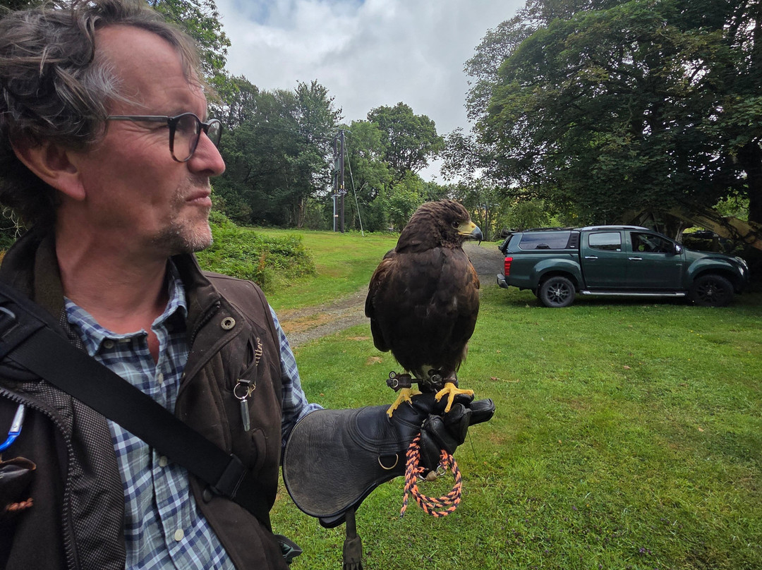 Lake District Falconry-温德米尔必去景点