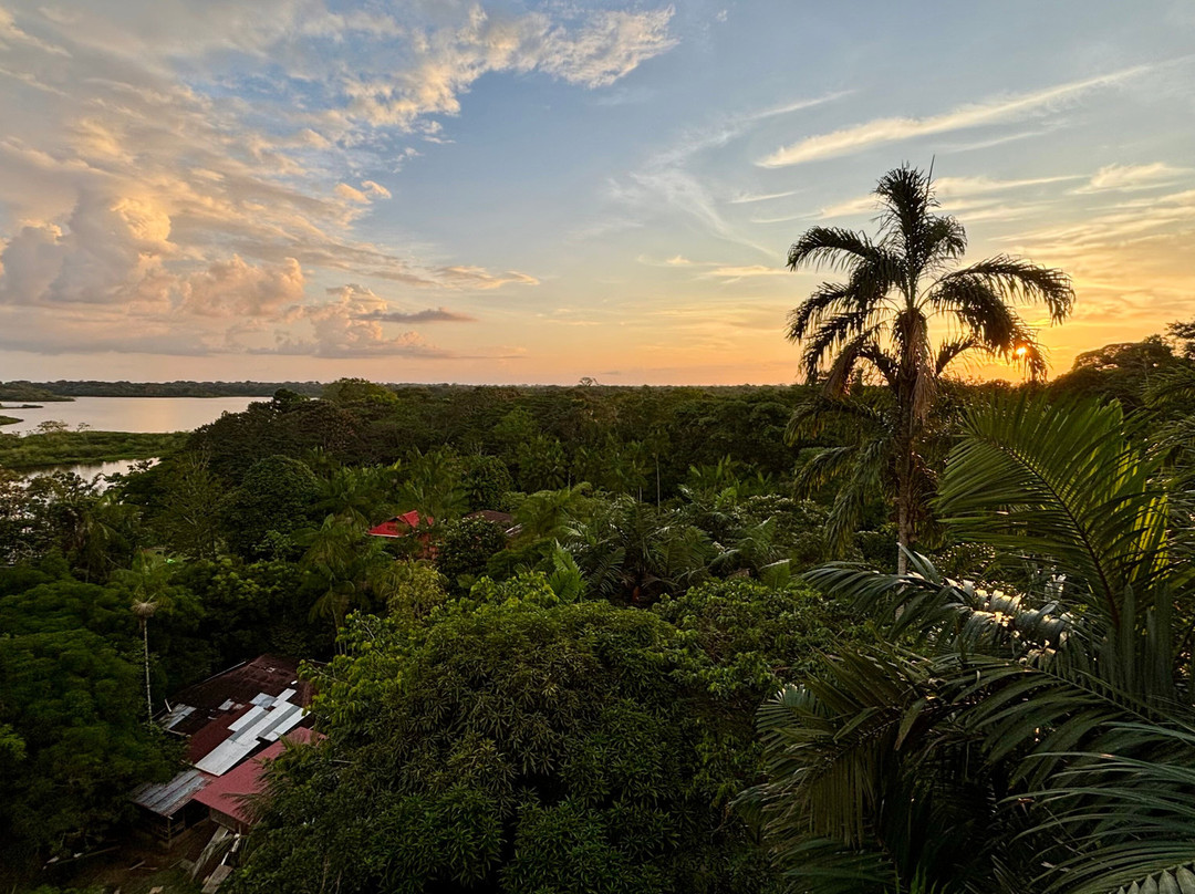 Naineku Amazon Trip Puerto Nariño-Puerto Narino必去景点