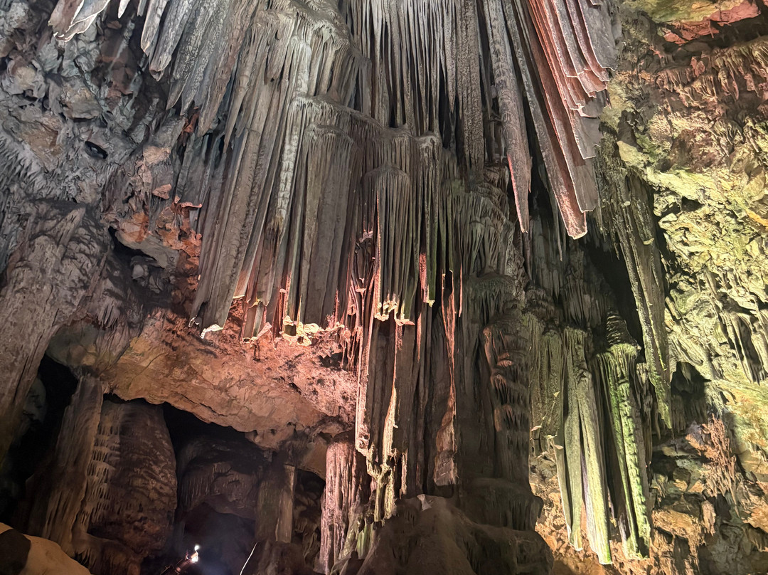 Gibraltar Upper Rock Nature Reserve-直布罗陀必去景点