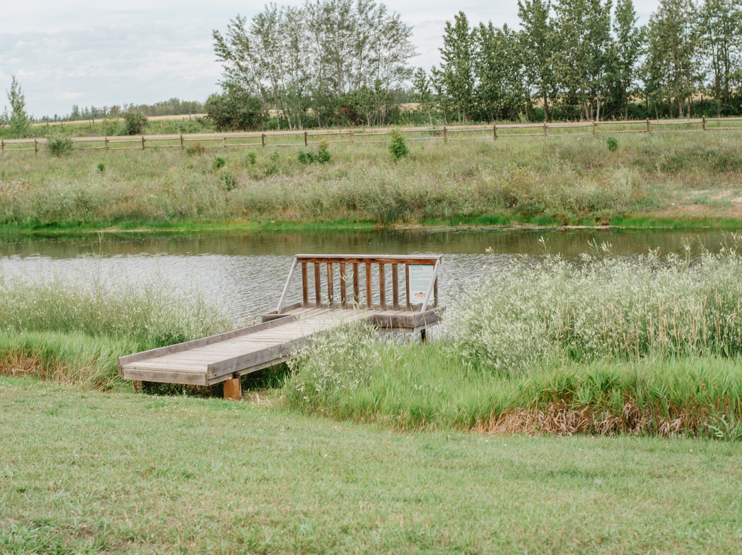 Diplomat Trout Pond Campground