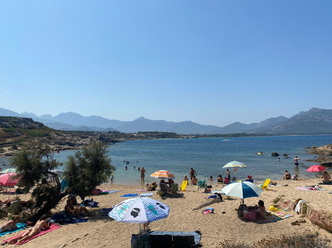 Arinella and Algaio Beach-Lumio必去景点