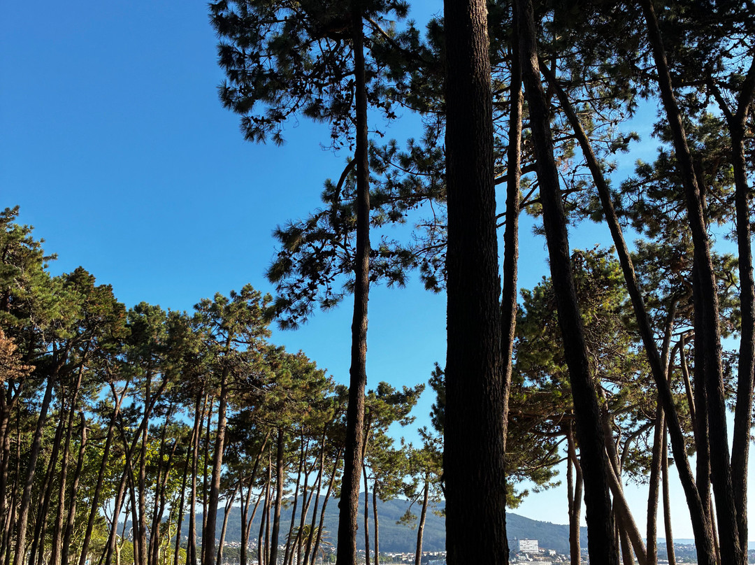Playa Samil-比戈必去景点