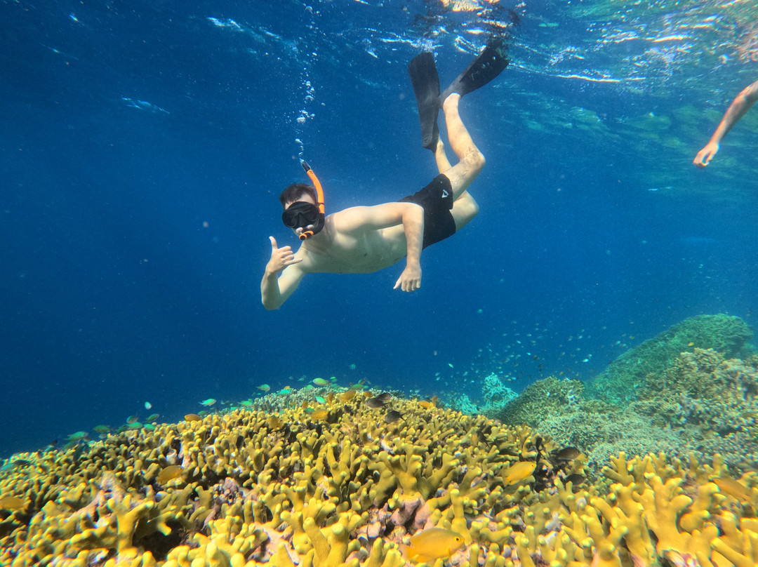 Menjangan Trip Snorkeling & Diving-Pejarakan必去景点