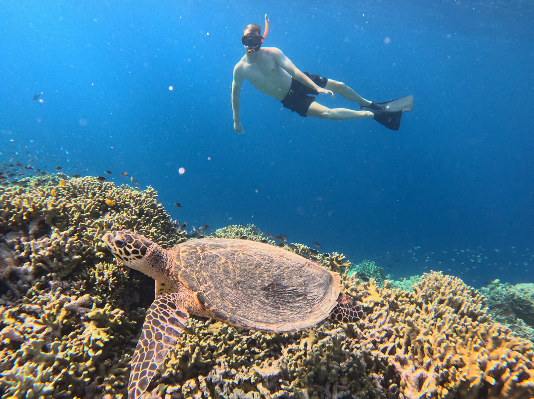 Menjangan Trip Snorkeling & Diving-Pejarakan必去景点