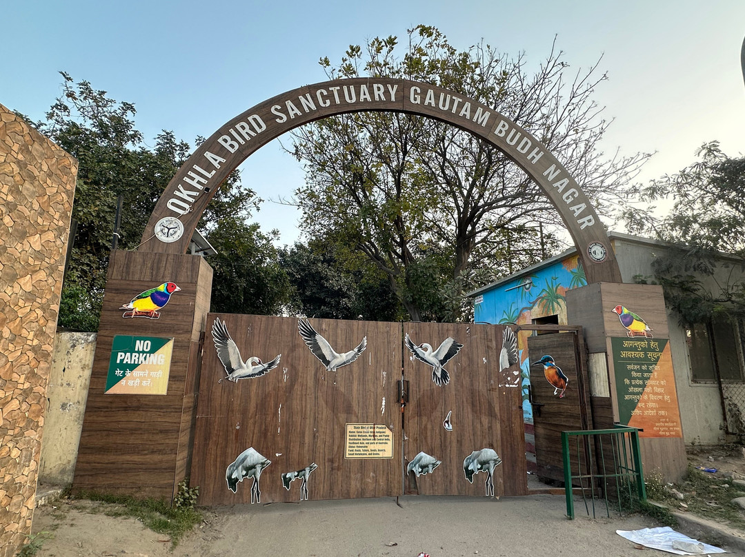 Okhla Bird Sanctuary-诺伊达必去景点