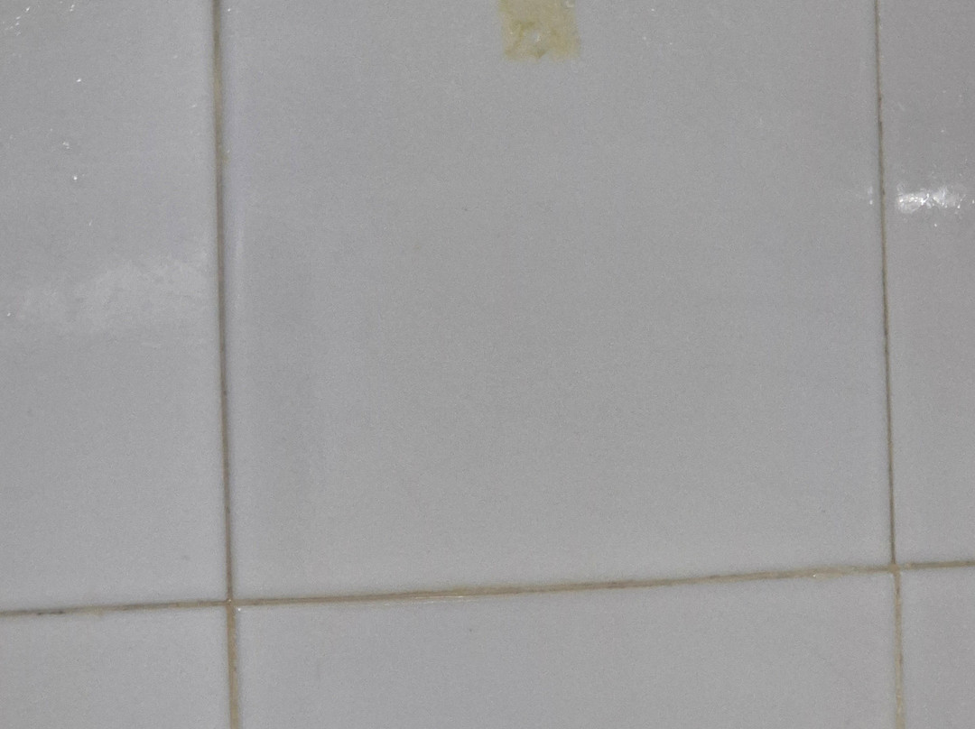 耶尼尼酒店主图