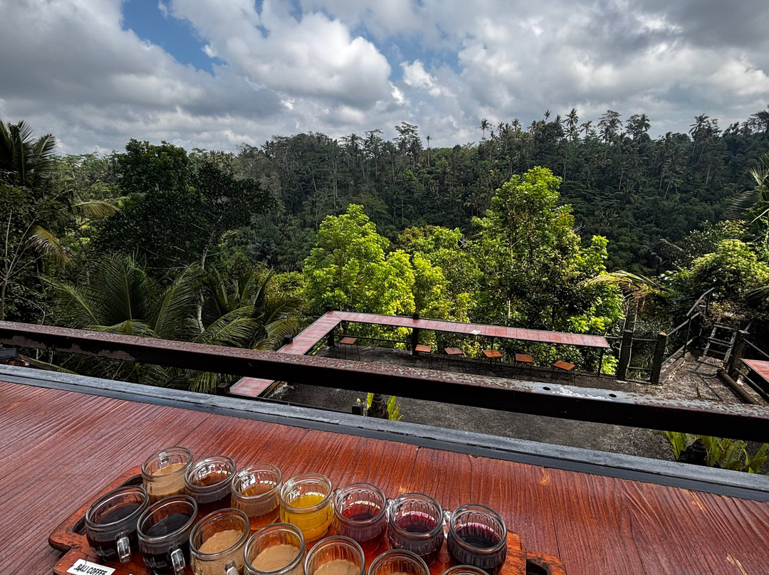 Mount Batur Trekking Agency-水明漾必去景点