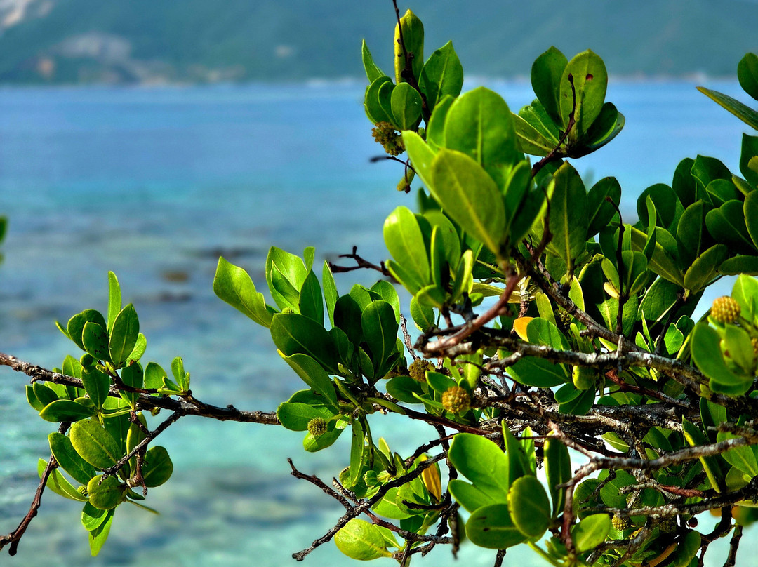 Isla Larga-Puerto Cabello必去景点