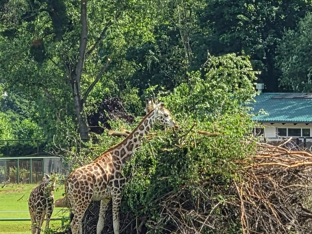 Oliwa Zoo-格但斯克必去景点