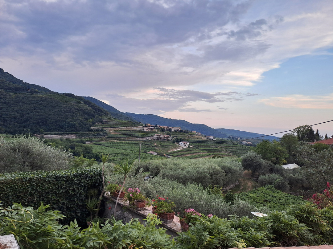 Marano di Valpolicella酒店住宿-B&B Paradiso