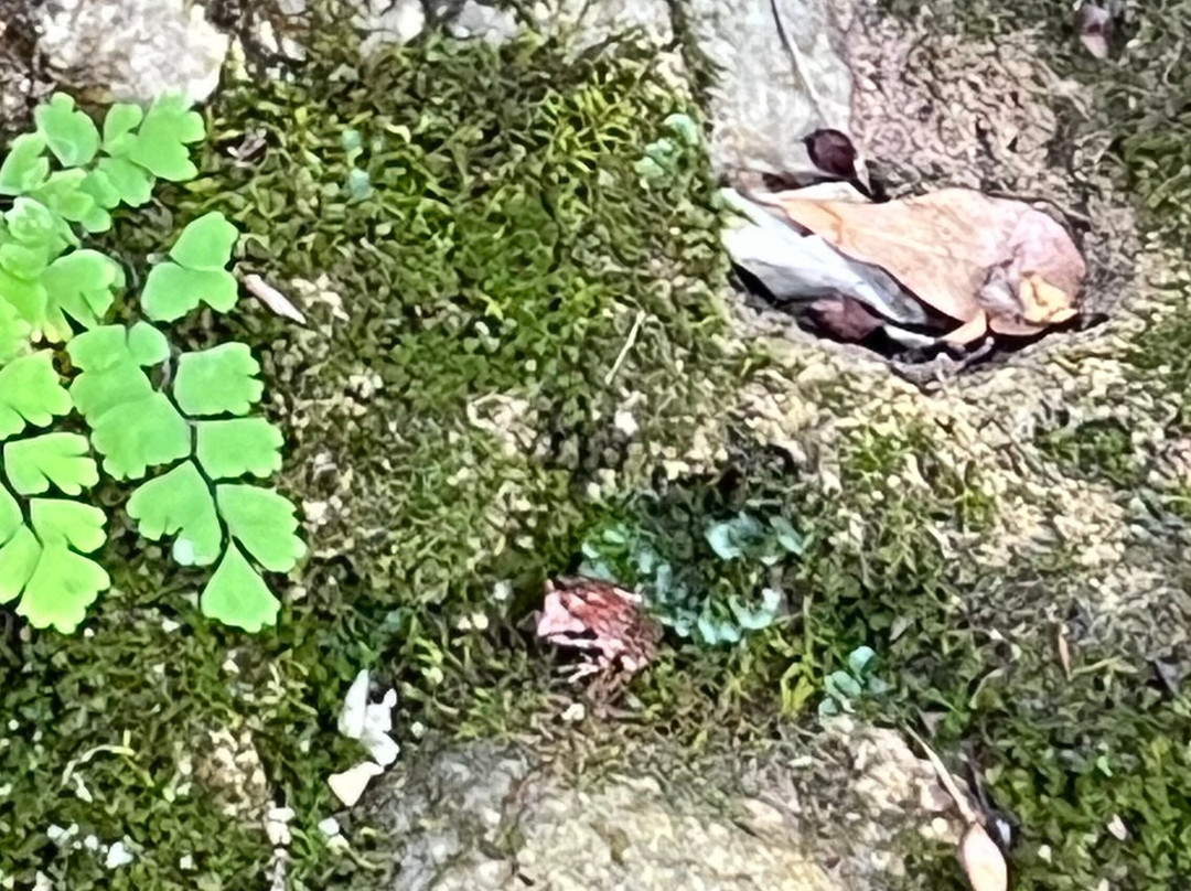 Kokkinos Vrachos Waterfall-Dion必去景点